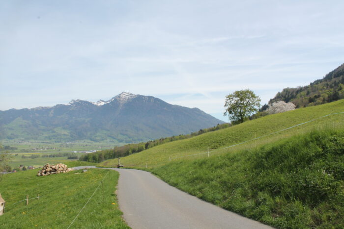Aussicht vom Honora Zen Kloster - Meditationszentrum in Reichenburg in der Schweiz zum Federispitz