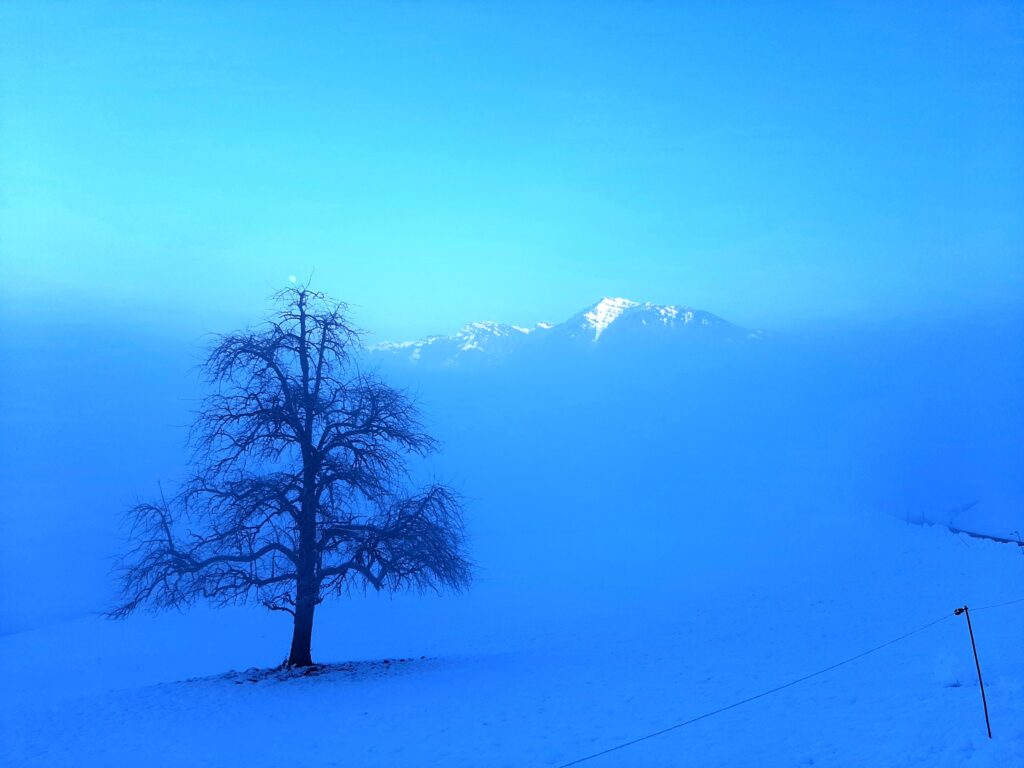 Winter meditation im meditationszentrum honora zen kloster mit zen mönch abt reding | honora zen monastery