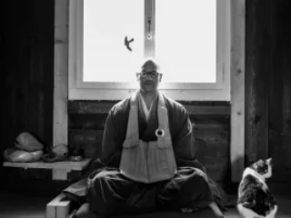 Tempelaufenthalt im Honora Zen Kloster