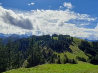Der erste Pilgerweg des Zen in Europa gegründet von Zen Mönch Marcel Reding