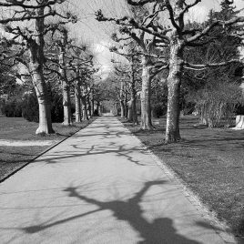 Meditation Bern im Bremgartenfriedhof mit Zen Mönch Marcel Reding