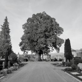 Meditation Luzern im Friedhof Friedental mit Zen Mönch Marcel Reding