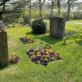 Meditation Bern im Bremgartenfriedhof mit Zen Mönch Marcel Reding