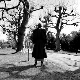 Meditation Bern im Bremgartenfriedhof mit Zen Mönch Marcel Reding