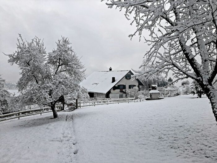 Winter Retreat Sesshin im Honora Zen Kloster in der Schweiz