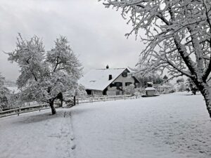 Honora zen kloster - meditationszentrum schweiz | honora zen monastery