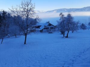 Abhärtungstraining im honora zen kloster - meditationszentrum - schweiz | honora zen monastery