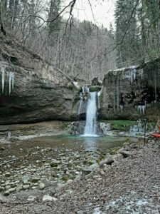 Evening funeral in the forest with abbot reding | honora zen monastery