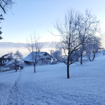 February Meditation Retreat at the Honora Zen Monastery