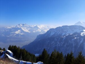 Meditationwoche märz | honora zen monastery