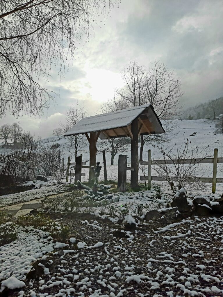 Meditation im meditationszentrum honora zen kloster | honora zen monastery