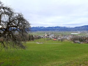 Meditationswoche april im honora zen kloster | honora zen monastery