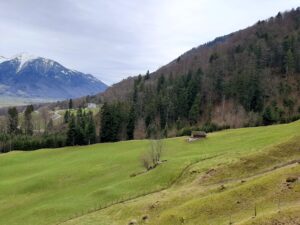 Meditationswoche april im honora zen kloster | honora zen monastery