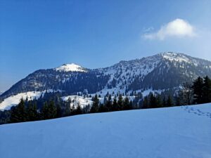 Meditation schweiz | honora zen monastery