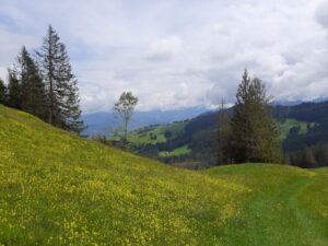 Pilgern in der schweiz | honora zen monastery