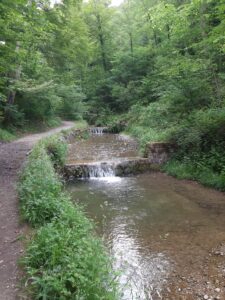 Meditation und wandern im honora zen kloster | honora zen monastery