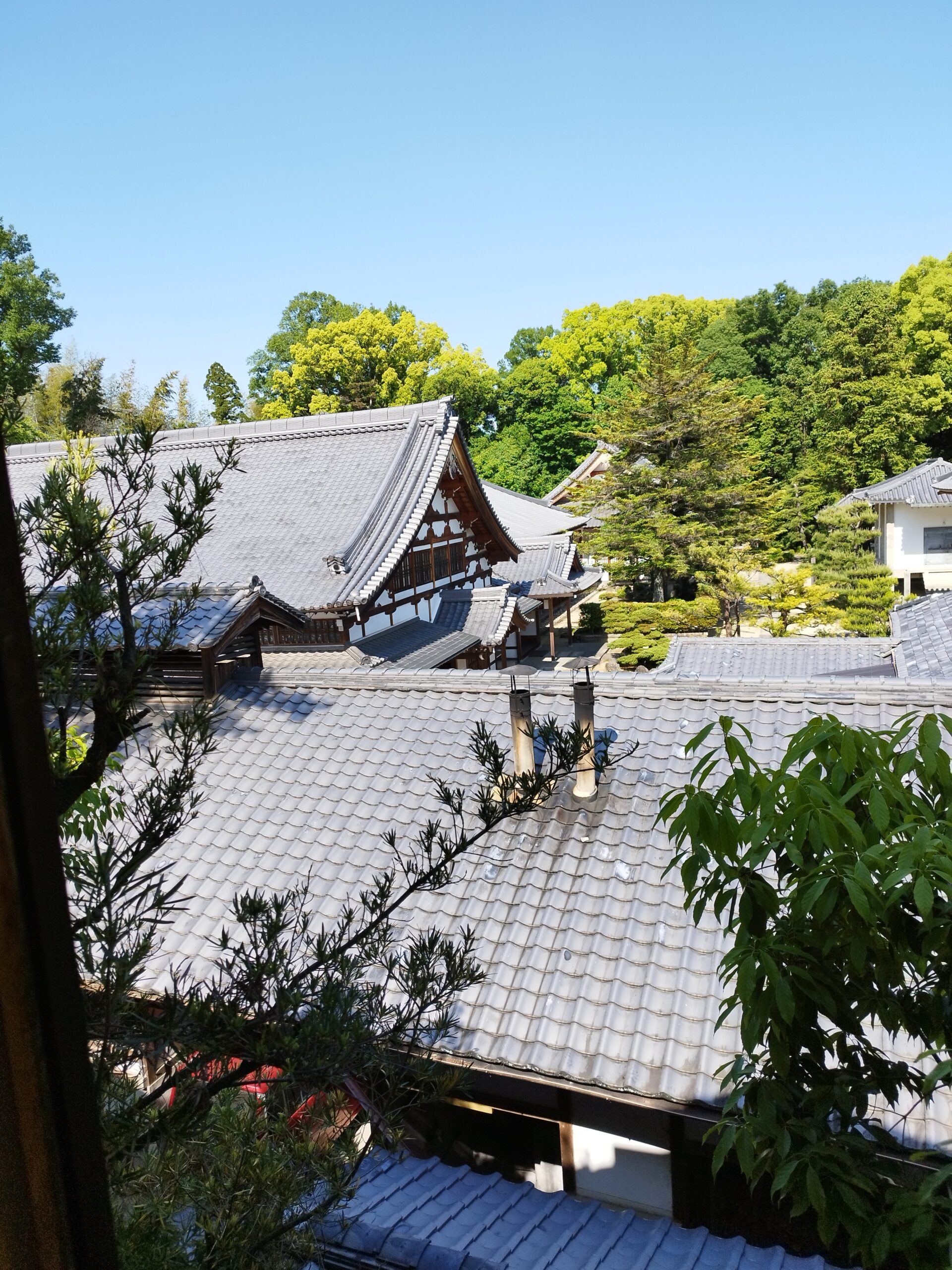 Empukuji Zen Monastery – Kyoto – Japan – Cave of Bodhidharma – Zen ...