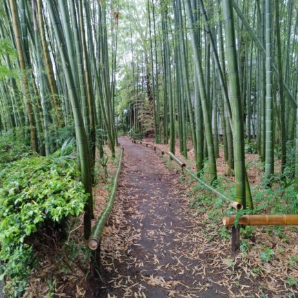 Enshoin Zen Tempel Tokyo Japan