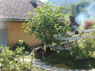 Tag der offenen Tür 2023 im Honora Zen Kloster Reichenburg