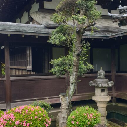 Koutokuji Zen Tempel Tokyo Japan