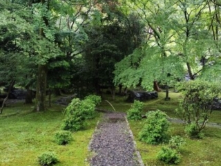 Zen-garten-seikenji Seikenji Zen Tempel in Kyoto Japan