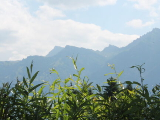 Tag der offenen Tür 2023 im Honora Zen Kloster Reichenburg