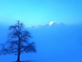 Winter Meditation im Meditationszentrum Honora Zen Kloster mit Zen M&ouml;nch Abt Reding