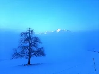 Winter Meditation im Meditationszentrum Honora Zen Kloster mit Zen Mönch Abt Reding