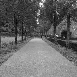 Meditation Chur im Friedhof Totengut mit Zen Mönch Marcel Reding
