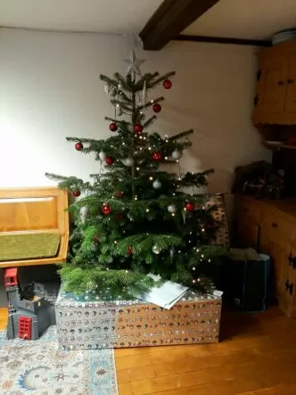 Christmas at the Honora Zen Monastery in Switzerland with Abbot Reding