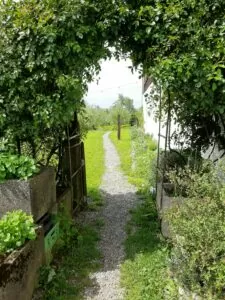 Memorial service zurich | honora zen monastery