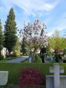 Zug funeral service memorial service | honora zen monastery