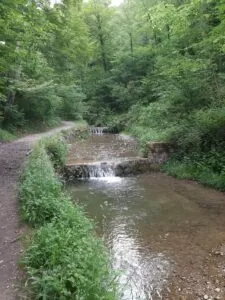 Meditation und Wandern im Honora Zen Kloster