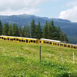 Funeral Service Swiss Alps Abbot Reding scatter Ashes Grindelwald Jungfraujoch