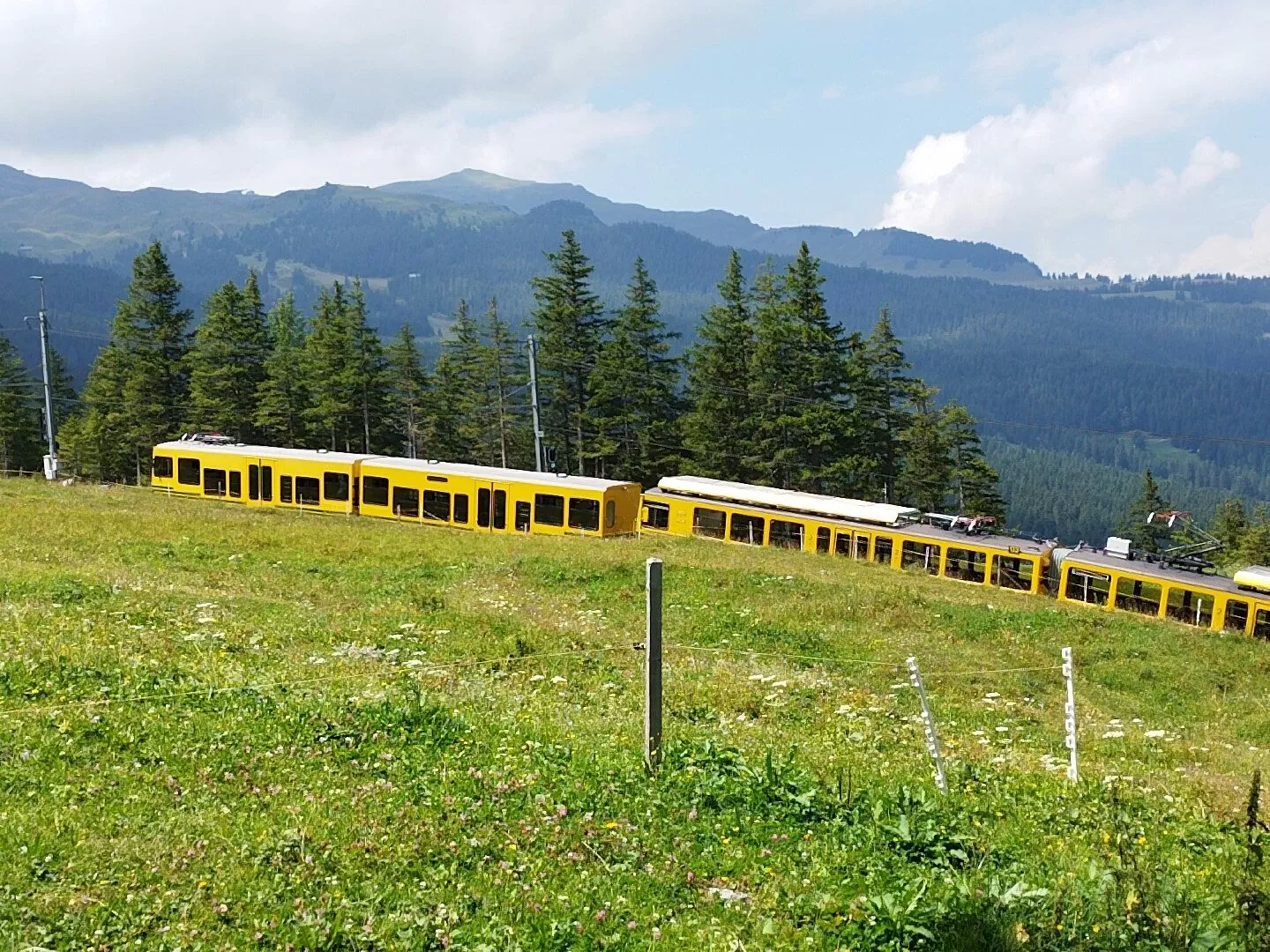 Funeral service swiss alps abbot reding scatter ashes grindelwald jungfraujoch | honora zen monastery