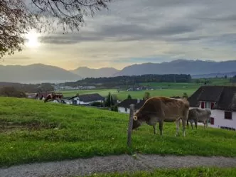 Pilgerweg Jakobsweg Neuhaus Schmerikon