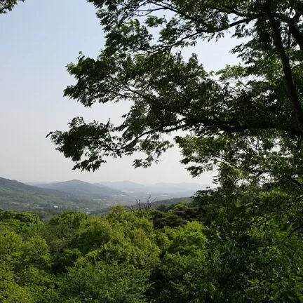 Sudeoksa Zen Tempel - Korea